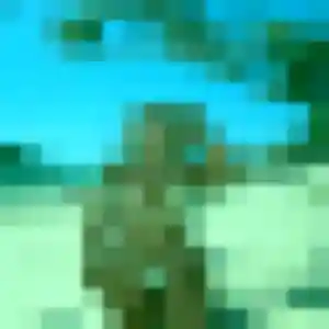 Vicky, femme de 35 ans propose rencontre plan cul à L'Isle-sur-la-Sorgue