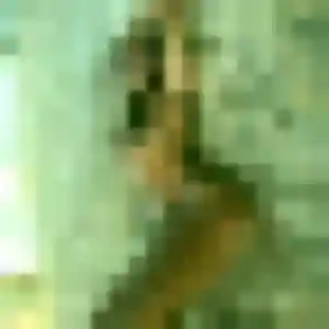 Charmante Regine, 27 ans à La Colle-sur-Loup - découvrir son profil