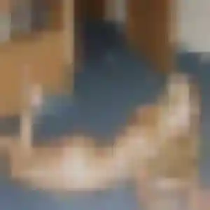 Mia, femme de 22 ans cherche rencontre plan cul à La Crau