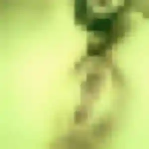 Diane de La Ferté-sous-Jouarre, 27 ans - rencontre plan cul discret