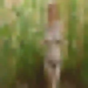 Jihane, 20 ans, disponible à La Possession pour un rencontre plan cul