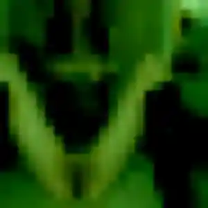 rencontre plan cul à La Salvetat-Saint-Gilles : profil de Estee, 32 ans - accès libre