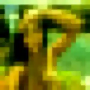 Belle Maya, 26 ans à Laillé - découvrir son profil