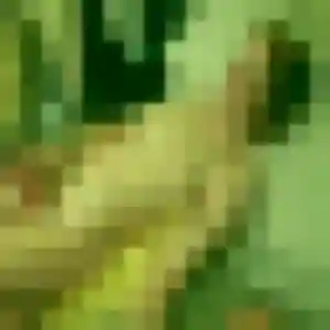 Jolie Violette, 28 ans à Laillé - la contacter