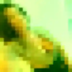 Apolline, femme de 23 ans veut rencontre plan cul à Lambersart