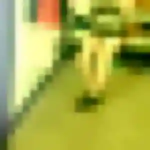 Rencontre Noura, 36 ans à Lambersart gratuitement