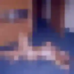 Rachel, 33 ans, connectée à Launaguet pour une rencontre coquine