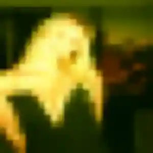 Profil de Bertrane à Laval (34 ans) - rencontre plan cul anonyme