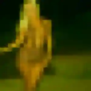 rencontre plan cul à Le Crès : profil de Lamia, 31 ans - accès libre