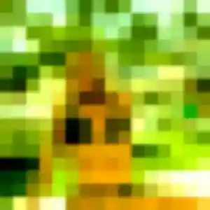 Anna, 31 ans, cherche un rencontre plan cul à Le Grand-Quevilly