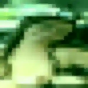 Photo sexy de Khadija, 27 ans à Le Palais-sur-Vienne - plan discret