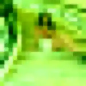 Belle Garance, 32 ans à Le Péage-de-Roussillon - découvrir son profil