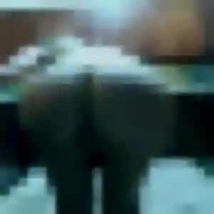 Tania, 38 ans, veut un rencontre plan cul à Le Plessis-Trévise