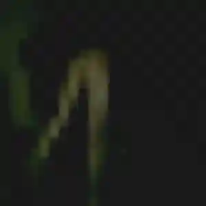 Sandrine de Le Poiré-sur-Vie, 31 ans - rencontre plan cul sans lendemain