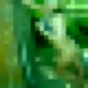 Contacte Alienor, 26 ans à Le Pont-de-Claix gratuitement