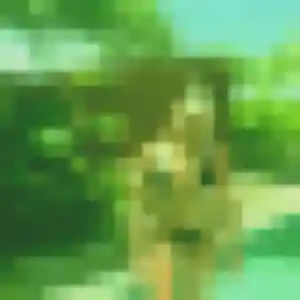 Photo de Jihane à Le Pontet (35 ans) - rencontre plan cul anonyme