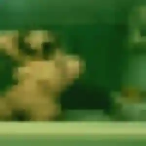 Pauline, 45 ans, veut un rencontre plan cul à Le Pontet