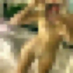 Berenice de Le Pradet, 36 ans - rencontre plan cul discret