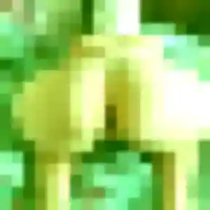 Belle Geneve, 38 ans à Le Puy-Sainte-Réparade - voir sa photo