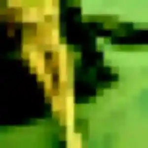 Renee, 25 ans, dispo pour rencontre plan cul à Le Tampon