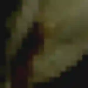 Therese de Le Tampon, 21 ans - rencontre plan cul discret