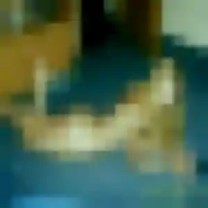 Jolie Hermine, 40 ans à Leers - la contacter