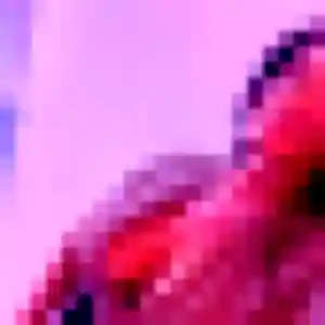 Photo exclusive de Thais, 24 ans à Leers - plan discret