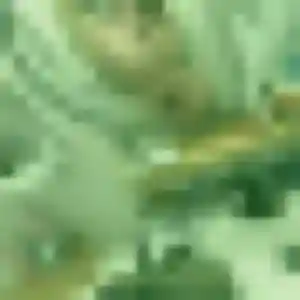 Rencontre Yasmina, 21 ans à Les Abrets en Dauphiné en t'inscrivant