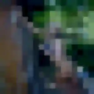 rencontre plan cul à Les Arcs : profil de Vinciane, 25 ans - accès libre