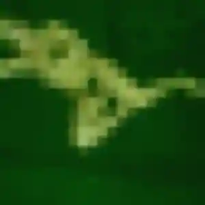 Charmante Eugenie, 40 ans à Les Pavillons-sous-Bois - découvrir son profil