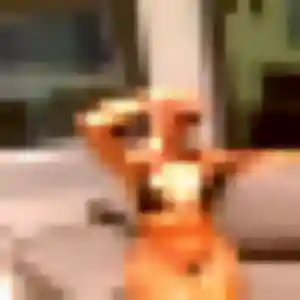 Madeleine de Les Pennes-Mirabeau, 20 ans - rencontre plan cul discret