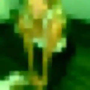 rencontre plan cul à Les Trois-Bassins : profil de Ximena, 26 ans - sans engagement