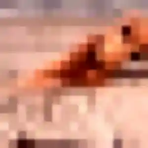 Marie-Helene de Lille, 31 ans - rencontre plan cul sans prise de tête