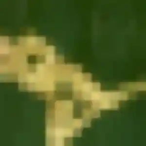 Rencontre Hermine, 26 ans à Lognes gratuitement