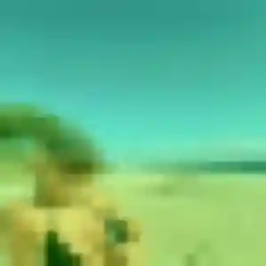 Josiane, 43 ans, cherche un rencontre plan cul à Longué-Jumelles