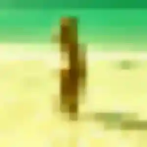 Photo sexy de Sixtine, 22 ans à Longueau - plan discret