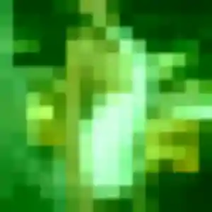 rencontre plan cul à Longuenée-en-Anjou : profil de Margaux, 23 ans - sans engagement