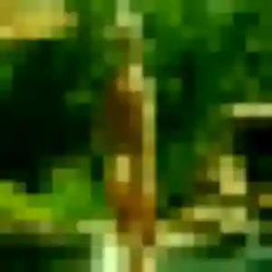 Photo perso de Marie-Ange, 35 ans à Lons-le-Saunier - rencontre sans lendemain