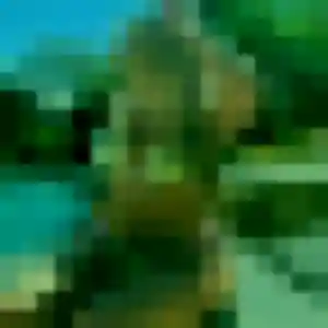 Photo perso de Natasha, 43 ans à Loos-en-Gohelle - plan discret