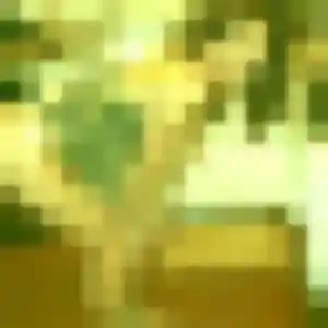 Belle Fanny, 40 ans à Lorient - découvrir son profil