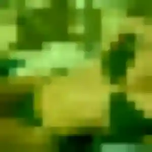 Leana (38 ans) à Lorient cherche une rencontre aujourd'hui