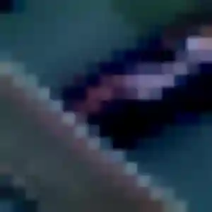 Pauline, 38 ans, connectée à Luc-la-Primaube pour un rencontre plan cul