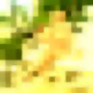 Celeste (31 ans) à Lunel propose une rencontre maintenant