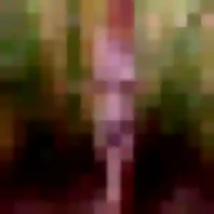 Nora, fille de 33 ans cherche rencontre plan cul à Magnanville