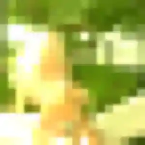 Xena de Malakoff, 41 ans - rencontre plan cul discret