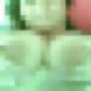 Anne-Sophie, 39 ans, disponible à Mana pour une rencontre coquine