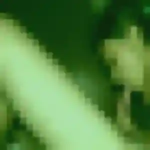 Profil de Alessandra à Marck (21 ans) - rencontre plan cul sans inscription