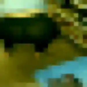 Charmante Zara, 23 ans à Marcq-en-Barœul - voir sa photo