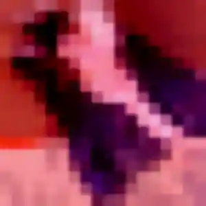 Profil de Clotilde à Martignas-sur-Jalle (23 ans) - rencontre plan cul gratuit