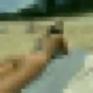 Blandine, 37 ans, en ligne à Maubeuge pour un rencontre plan cul